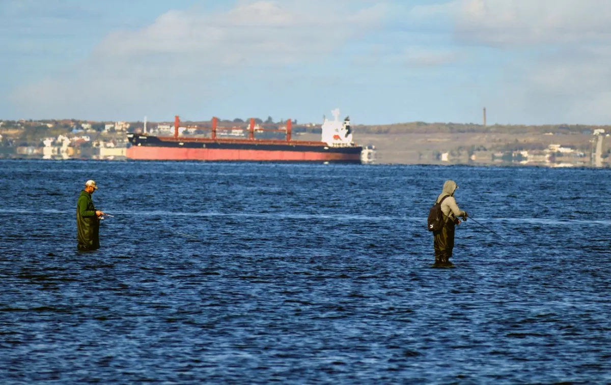 Туреччина обмежила судна у Чорному морі: причини й наслідки для торгівлі